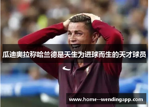 瓜迪奥拉称哈兰德是天生为进球而生的天才球员